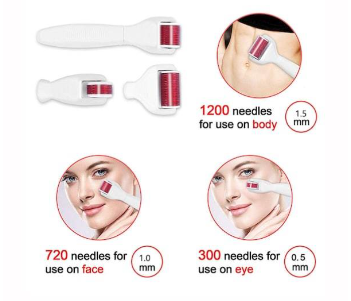 4 In 1 Derma Roller Micro-Needling Skin Care System