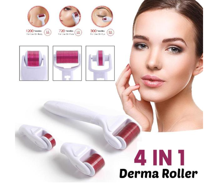4 In 1 Derma Roller Micro-Needling Skin Care System